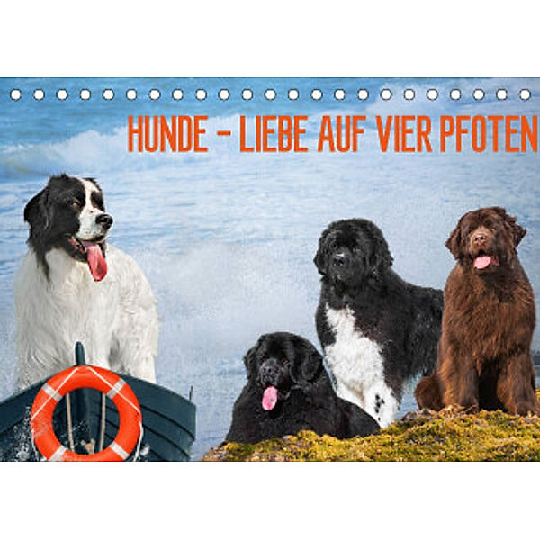 Hunde - Liebe auf vier Pfoten (Tischkalender 2022 DIN A5 quer), Sigrid Starick