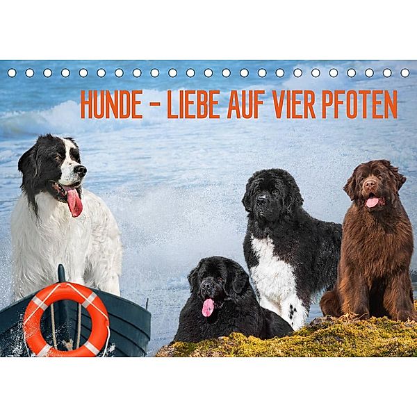 Hunde - Liebe auf vier Pfoten (Tischkalender 2023 DIN A5 quer), Sigrid Starick
