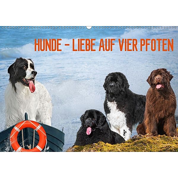Hunde - Liebe auf vier Pfoten (Wandkalender 2021 DIN A2 quer), Sigrid Starick