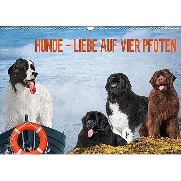 Hunde - Liebe auf vier Pfoten (Wandkalender 2021 DIN A3 quer), Sigrid Starick