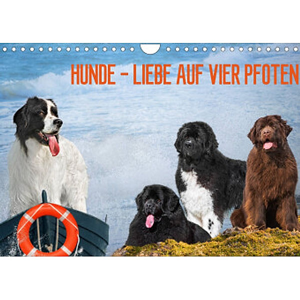 Hunde - Liebe auf vier Pfoten (Wandkalender 2022 DIN A4 quer), Sigrid Starick