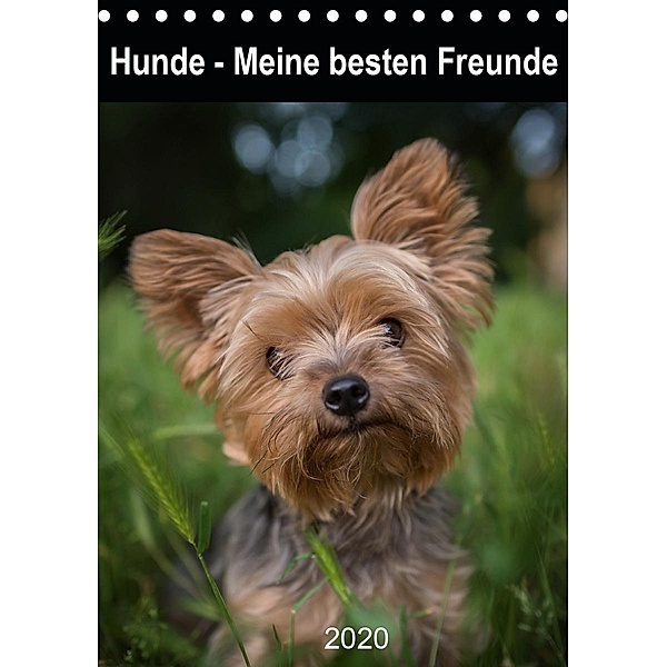 Hunde - Meine besten Freunde (Tischkalender 2020 DIN A5 hoch)