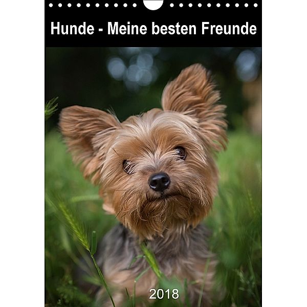 Hunde - Meine besten Freunde (Wandkalender 2018 DIN A4 hoch), FotosVonMaja