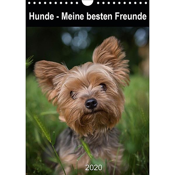 Hunde - Meine besten Freunde (Wandkalender 2020 DIN A4 hoch)