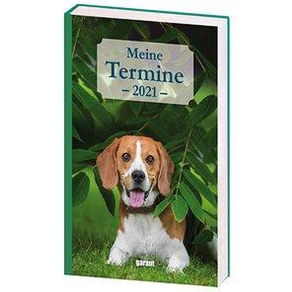 Hunde, Meine Termine 2021