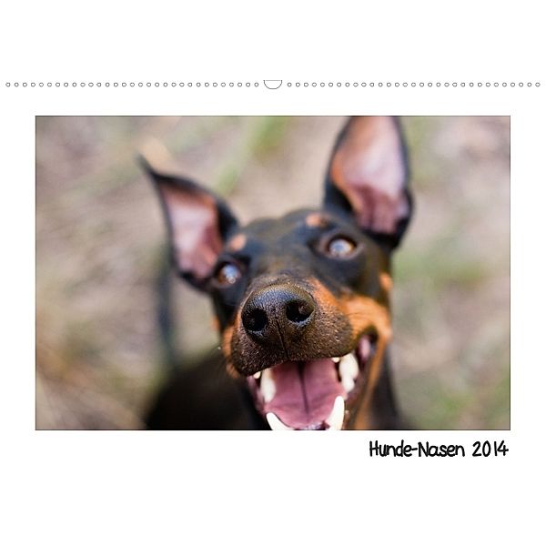 Hunde-Nasen 2014 (Wandkalender 2014 DIN A2 quer), Kerstin Mielke