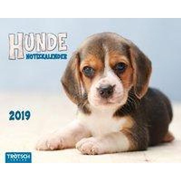 Hunde. Notizkalender 2019