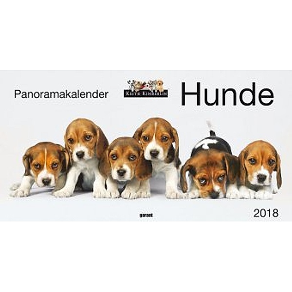 Hunde, Panoramakalender 2018