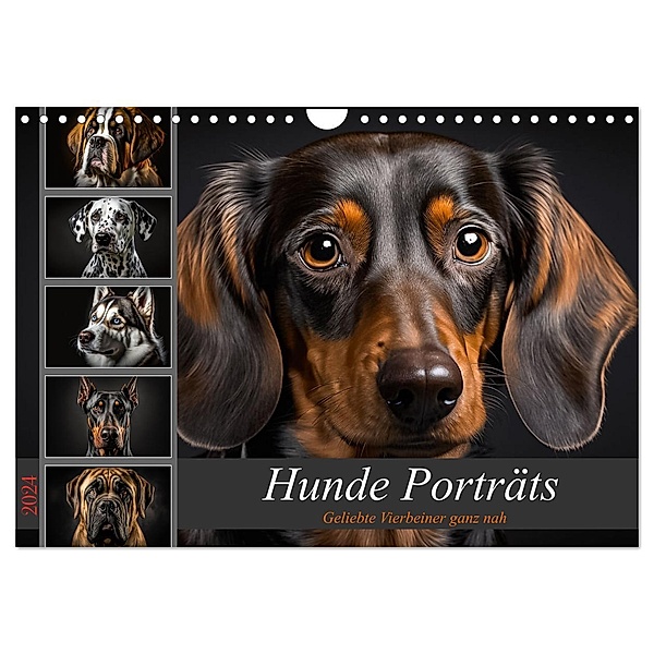 Hunde Porträts (Wandkalender 2024 DIN A4 quer), CALVENDO Monatskalender, Dirk Meutzner