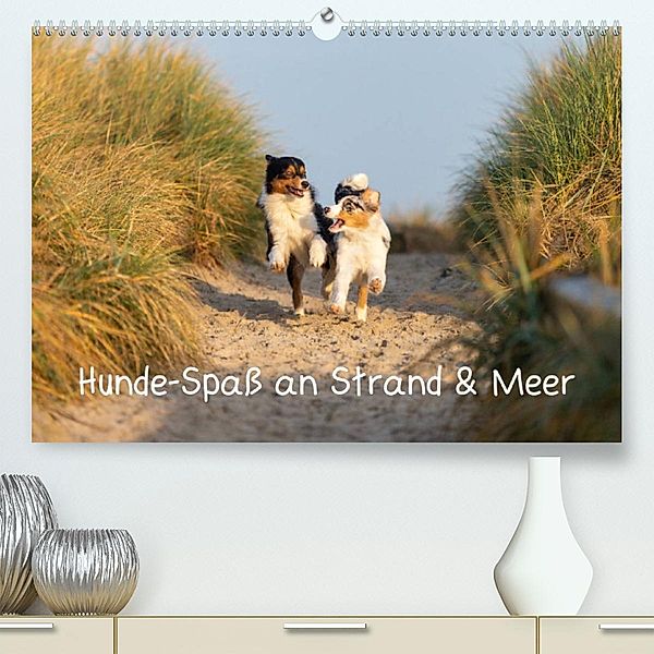 Hunde-Spaß an Strand & Meer (Premium, hochwertiger DIN A2 Wandkalender 2023, Kunstdruck in Hochglanz), Annett Mirsberger