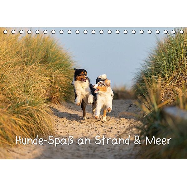 Hunde-Spaß an Strand & Meer (Tischkalender 2021 DIN A5 quer), Annett Mirsberger