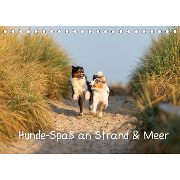 Hunde-Spaß an Strand & Meer (Tischkalender 2022 DIN A5 quer), Annett Mirsberger