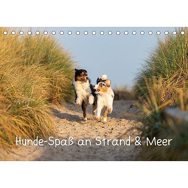 Hunde-Spaß an Strand & Meer (Tischkalender 2023 DIN A5 quer), Annett Mirsberger