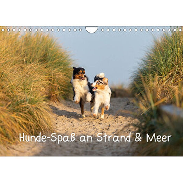 Hunde-Spaß an Strand & Meer (Wandkalender 2022 DIN A4 quer), Annett Mirsberger