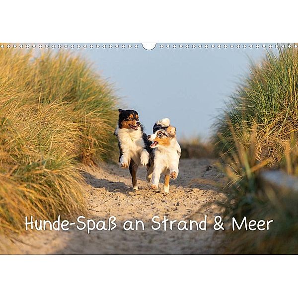 Hunde-Spaß an Strand & Meer (Wandkalender 2023 DIN A3 quer), Annett Mirsberger