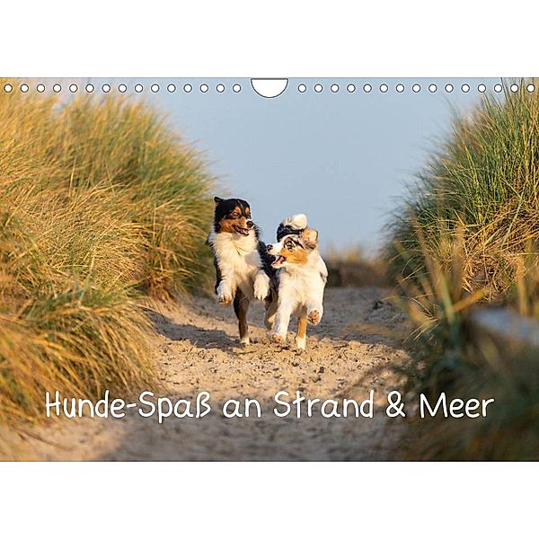 Hunde-Spaß an Strand & Meer (Wandkalender 2023 DIN A4 quer), Annett Mirsberger