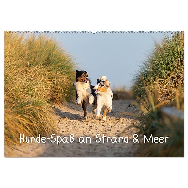 Hunde-Spaß an Strand & Meer (Wandkalender 2025 DIN A2 quer), CALVENDO Monatskalender, Calvendo, Annett Mirsberger