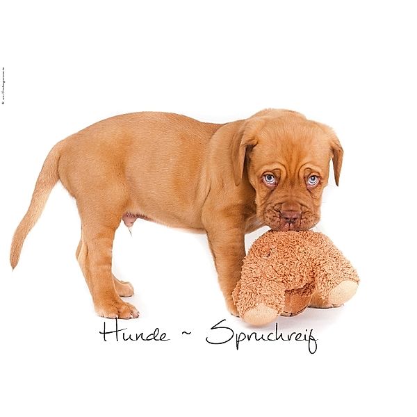 Hunde-Spruchreif (Posterbuch DIN A4 quer), © Hundeimpressionen Anja Kiefer