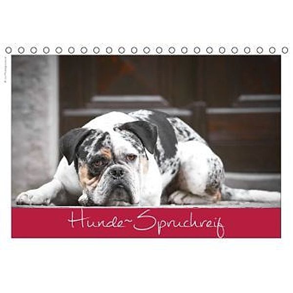 Hunde-Spruchreif (Tischkalender 2016 DIN A5 quer), © Hundeimpressionen Anja Kiefer