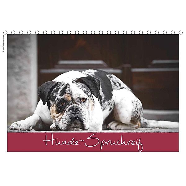 Hunde-Spruchreif (Tischkalender 2023 DIN A5 quer), © Hundeimpressionen  Anja Kiefer