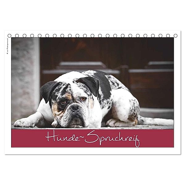 Hunde-Spruchreif (Tischkalender 2024 DIN A5 quer), CALVENDO Monatskalender, © Hundeimpressionen Anja Kiefer