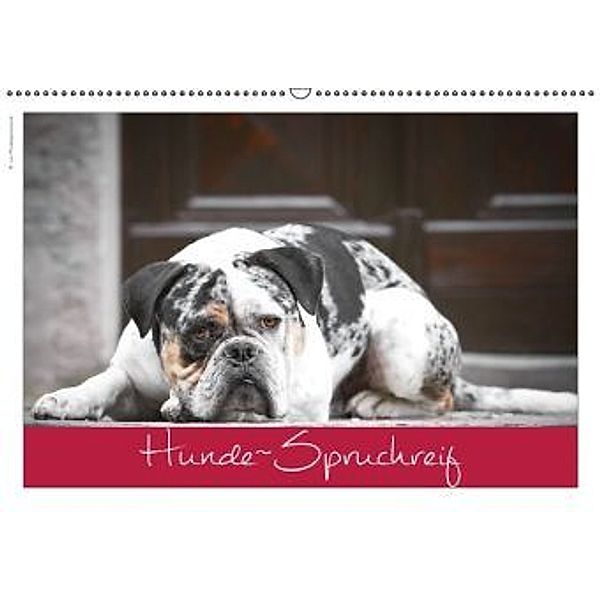 Hunde-Spruchreif (Wandkalender 2016 DIN A2 quer), © Hundeimpressionen Anja Kiefer