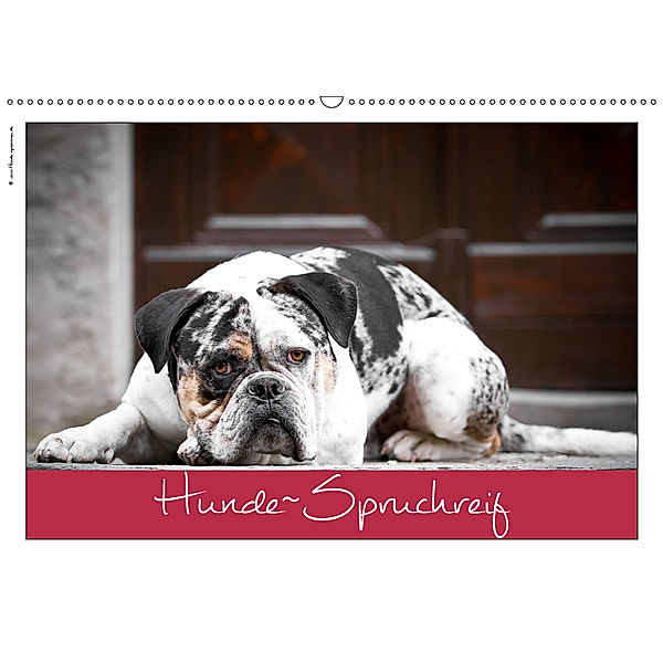 Hunde-Spruchreif (Wandkalender 2019 DIN A2 quer), © Hundeimpressionen Anja Kiefer