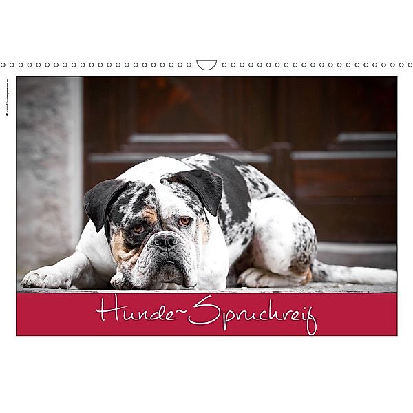 Hunde-Spruchreif (Wandkalender 2020 DIN A3 quer), © Hundeimpressionen Anja Kiefer