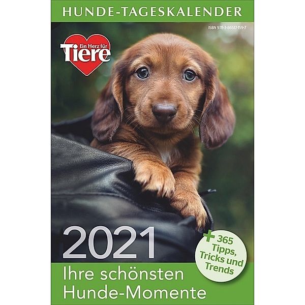 Hunde-Tageskalender 2021