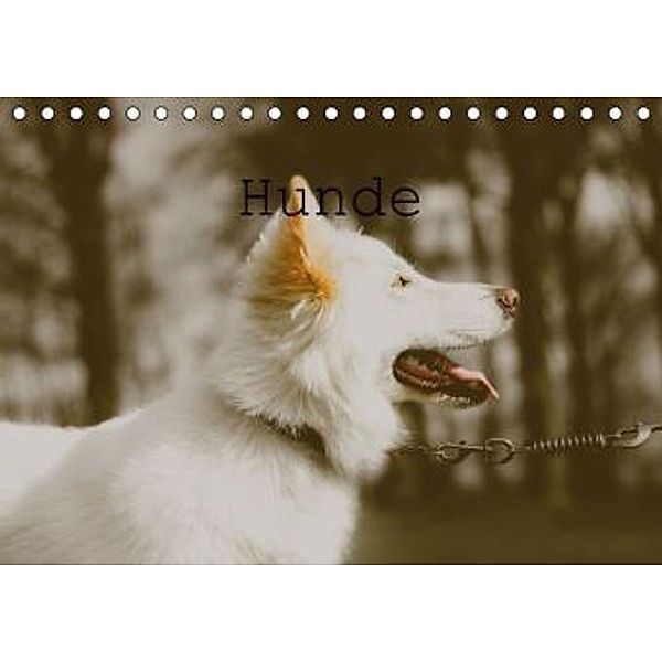 Hunde (Tischkalender 2016 DIN A5 quer), Nina Tobias