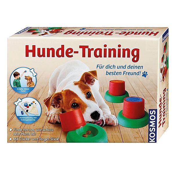 Hunde-Training