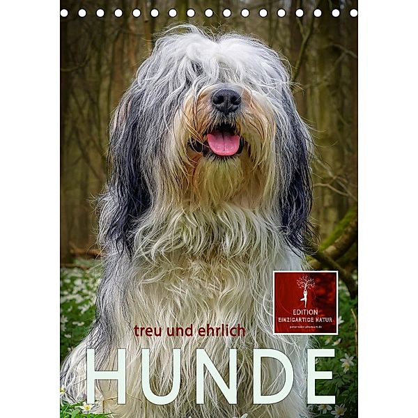 Hunde - treu und ehrlich (Tischkalender 2023 DIN A5 hoch), Peter Roder