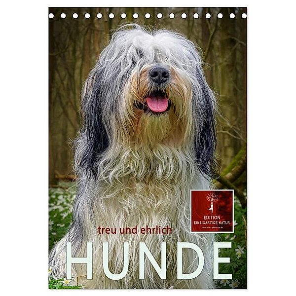 Hunde - treu und ehrlich (Tischkalender 2024 DIN A5 hoch), CALVENDO Monatskalender, Peter Roder