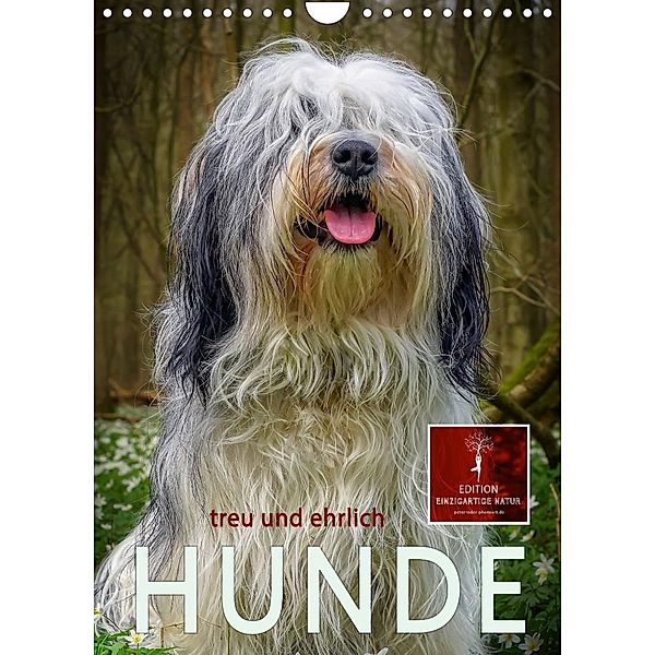 Hunde - treu und ehrlich (Wandkalender 2023 DIN A4 hoch), Peter Roder