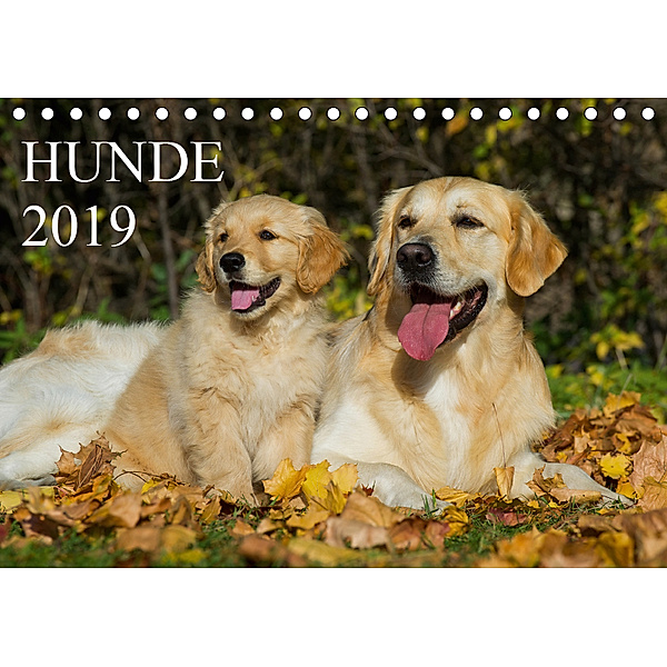 Hunde - Treue Freunde für's Leben (Tischkalender 2019 DIN A5 quer), Sigrid Starick