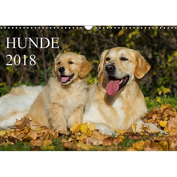 Hunde - Treue Freunde für's Leben (Wandkalender 2018 DIN A3 quer), Sigrid Starick