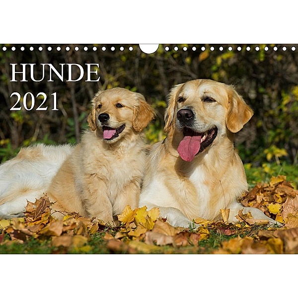 Hunde - Treue Freunde für´s Leben (Wandkalender 2021 DIN A4 quer), Sigrid Starick
