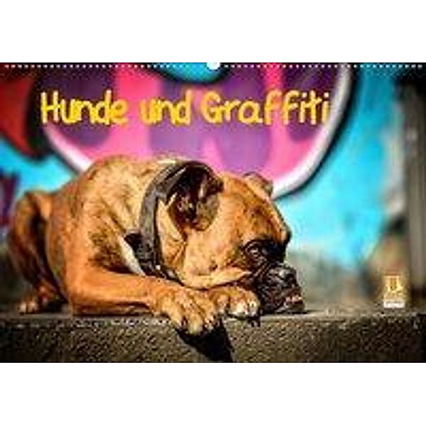 Hunde und Graffiti (Wandkalender 2020 DIN A2 quer), Yvonne Janetzek