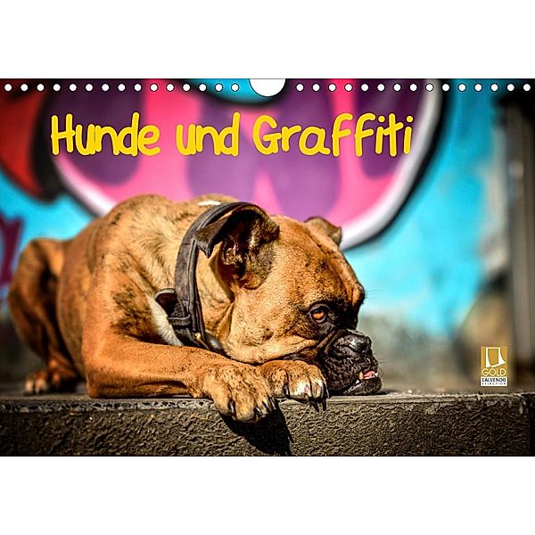 Hunde und Graffiti (Wandkalender 2021 DIN A4 quer), Yvonne Janetzek