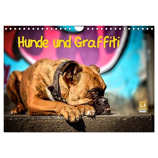 Hunde und Graffiti (Wandkalender 2024 DIN A4 quer), CALVENDO Monatskalender, Yvonne Janetzek