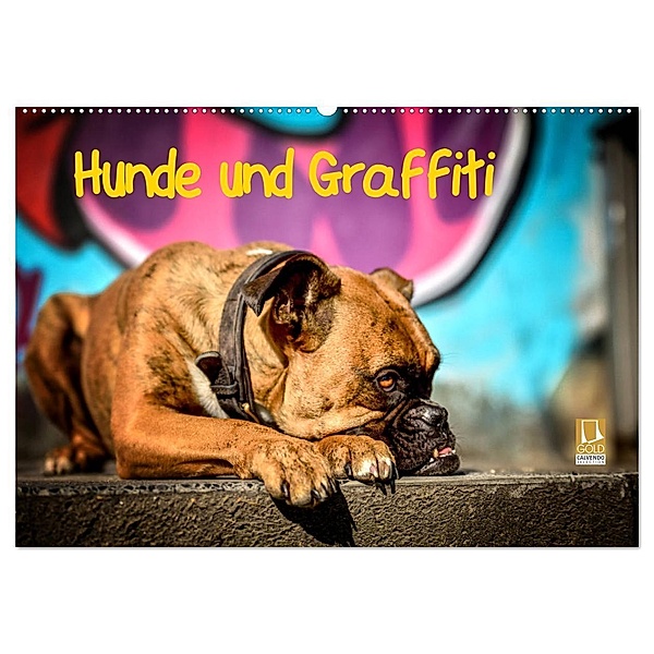 Hunde und Graffiti (Wandkalender 2025 DIN A2 quer), CALVENDO Monatskalender, Calvendo, Yvonne Janetzek
