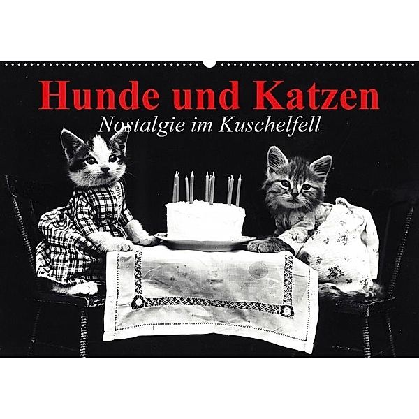 Hunde und Katzen - Nostalgie im Kuschelfell (Wandkalender 2017 DIN A2 quer), Elisabeth Stanzer