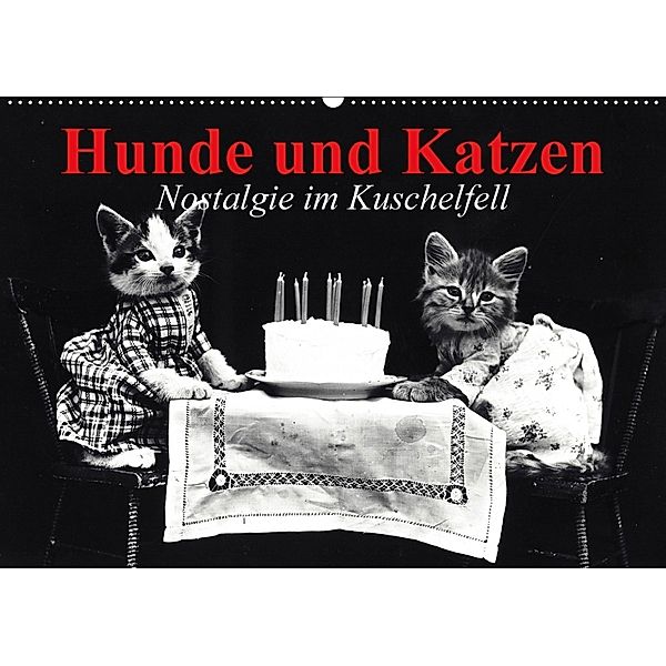 Hunde und Katzen - Nostalgie im Kuschelfell (Wandkalender 2018 DIN A2 quer), Elisabeth Stanzer