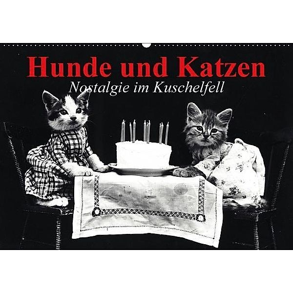 Hunde und Katzen - Nostalgie im Kuschelfell (Wandkalender 2015 DIN A2 quer), Elisabeth Stanzer