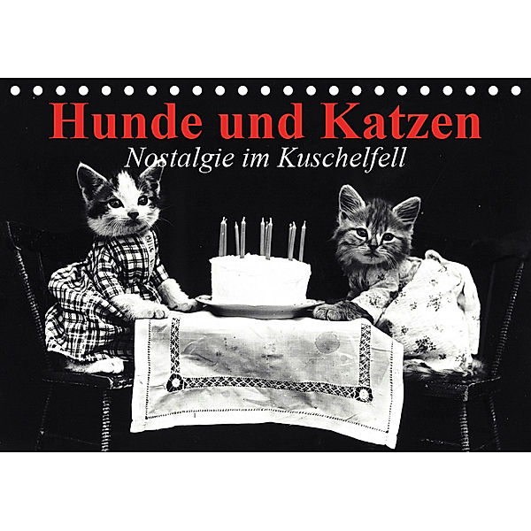 Hunde und Katzen - Nostalgie im Kuschelfell (Tischkalender 2019 DIN A5 quer), Elisabeth Stanzer