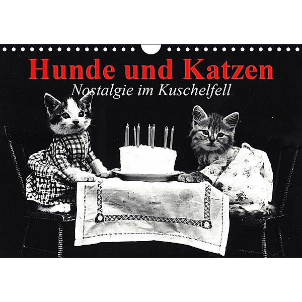 Hunde und Katzen - Nostalgie im Kuschelfell (Wandkalender 2021 DIN A4 quer), Elisabeth Stanzer