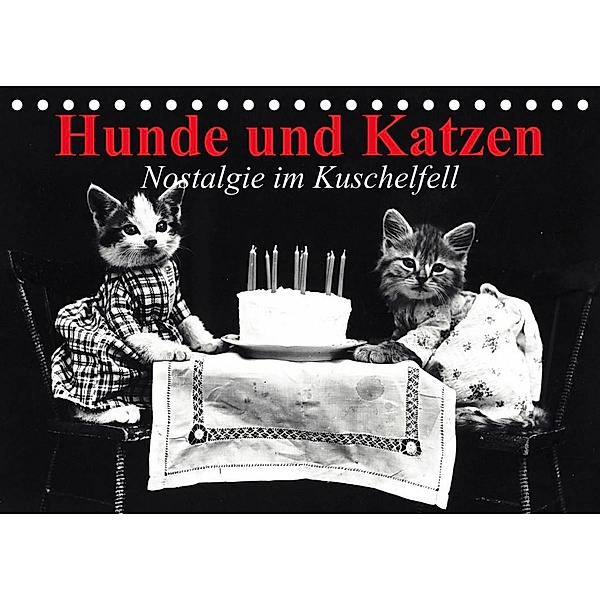 Hunde und Katzen - Nostalgie im Kuschelfell (Tischkalender 2023 DIN A5 quer), Elisabeth Stanzer