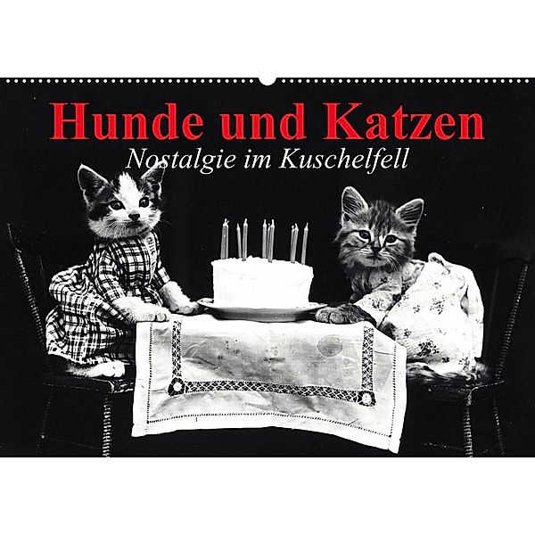 Hunde und Katzen - Nostalgie im Kuschelfell (Wandkalender 2023 DIN A2 quer), Elisabeth Stanzer