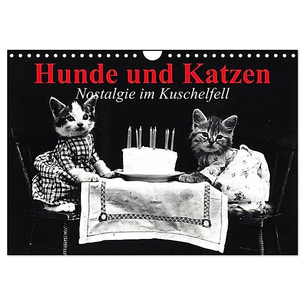 Hunde und Katzen - Nostalgie im Kuschelfell (Wandkalender 2024 DIN A4 quer), CALVENDO Monatskalender, Elisabeth Stanzer