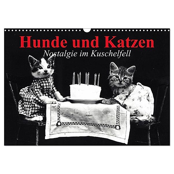 Hunde und Katzen - Nostalgie im Kuschelfell (Wandkalender 2024 DIN A3 quer), CALVENDO Monatskalender, Elisabeth Stanzer